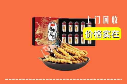 黑水县回收冬虫夏草